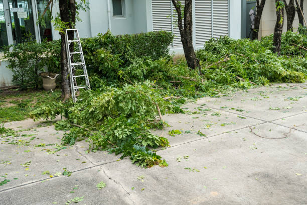 Best Grass Overseeding  in Frenchtown, NJ